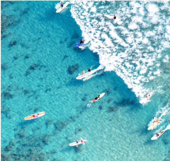 Where the Ocean Meets the Canvas